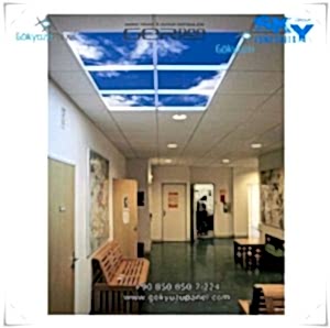 Gergi Tavan Gökyüzü Panel 11