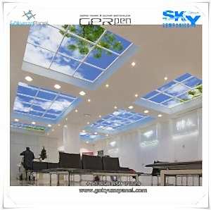 Gergi Tavan Gökyüzü Panel 2