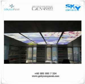 Gergi Tavan Gökyüzü Panel 20