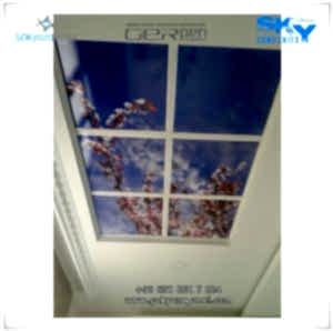 Gergi Tavan Gökyüzü Panel 8