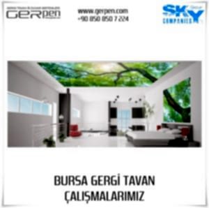 Bursa Gergi Tavan 5